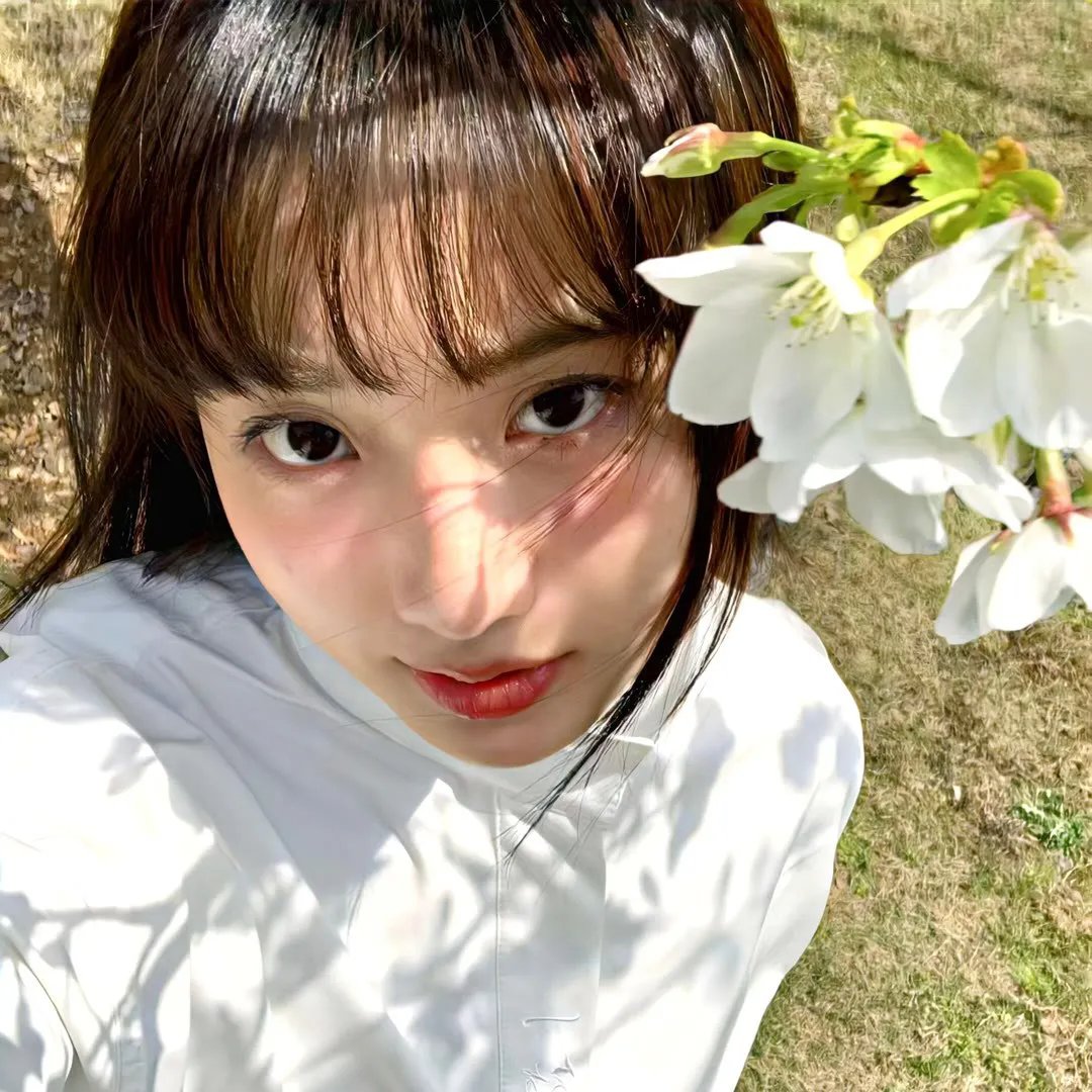 麋鹿王